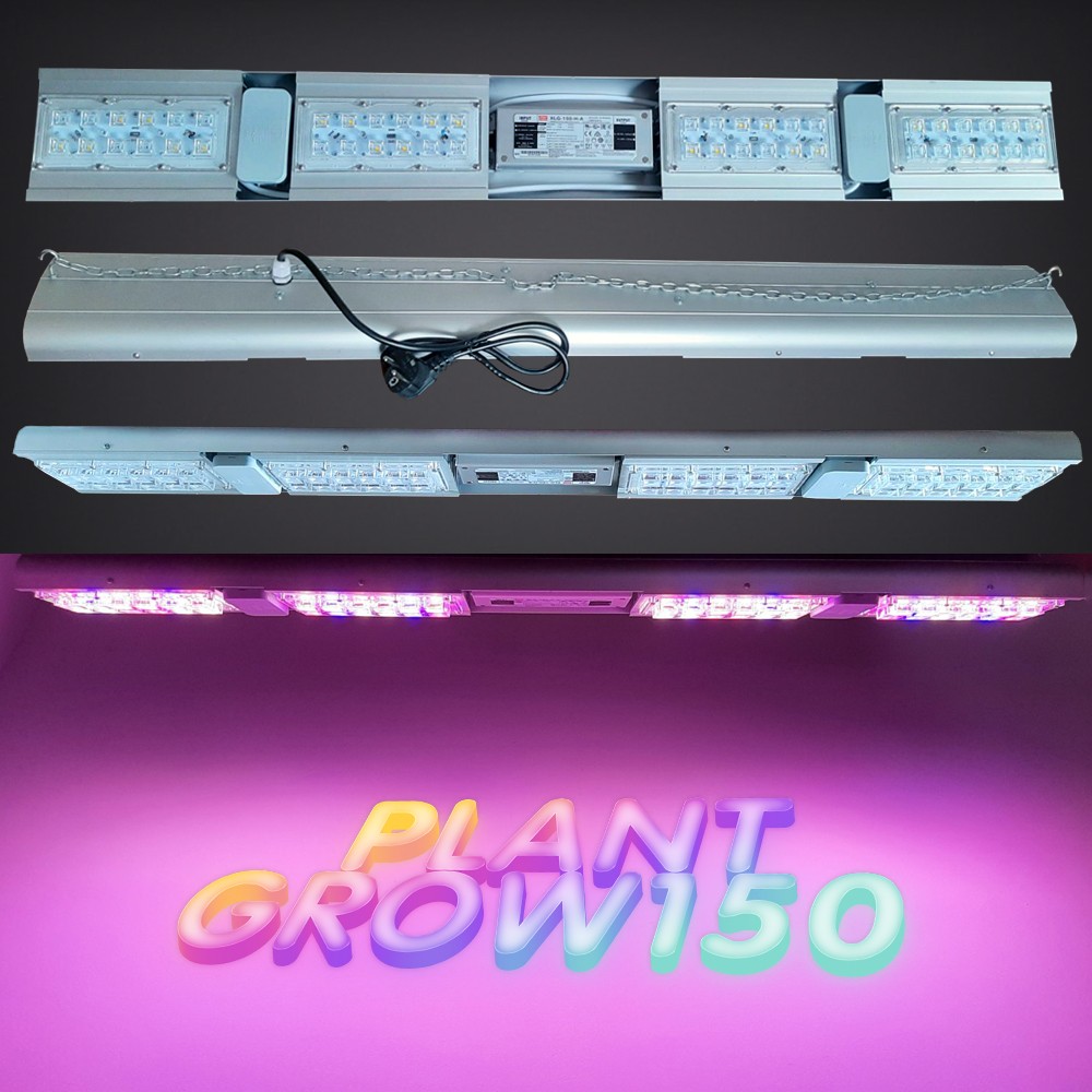Plant Grow 150 2